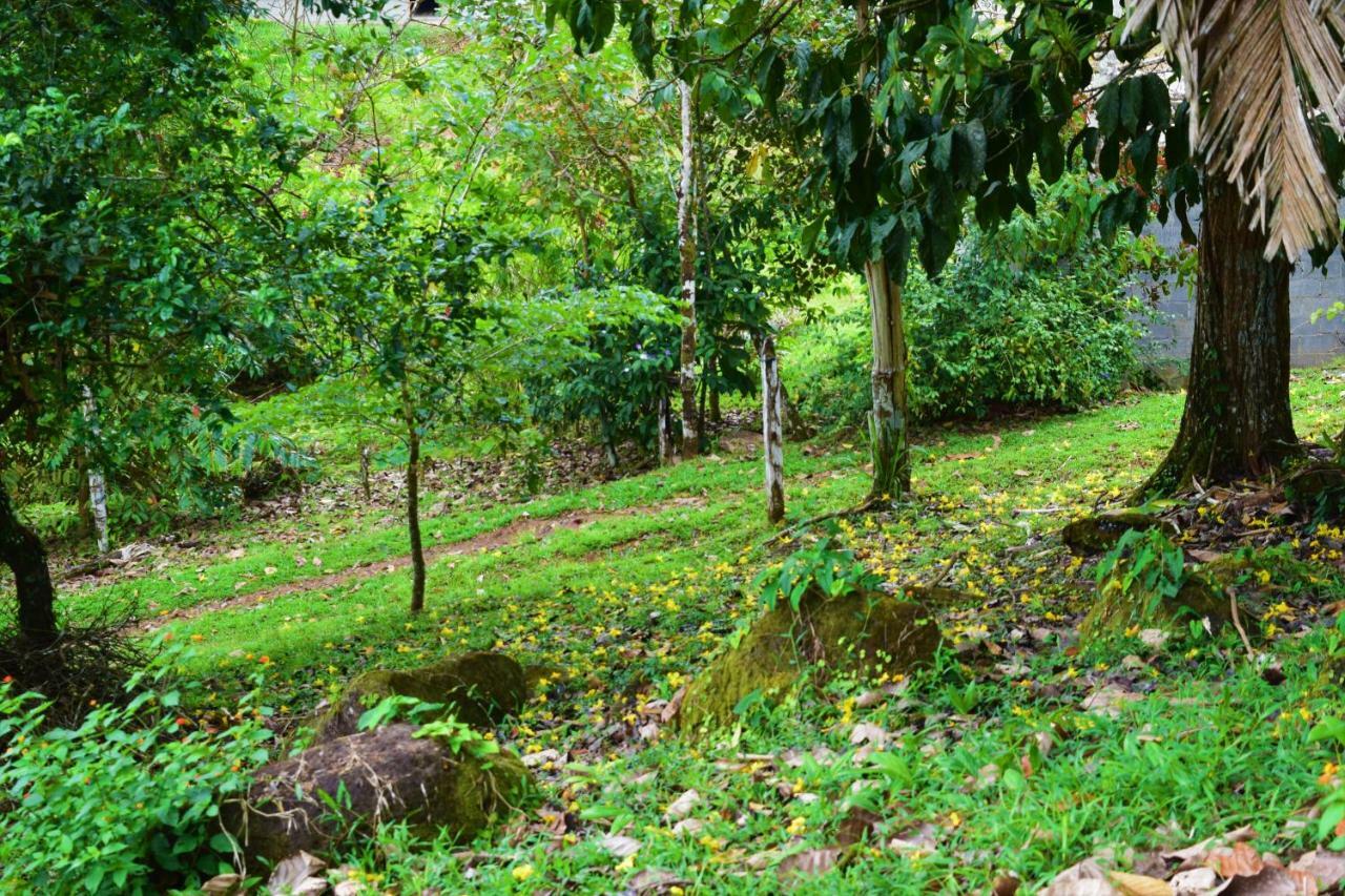 Hotel Rio Celeste Finca L' Etoile Celeste El Achiote Екстер'єр фото